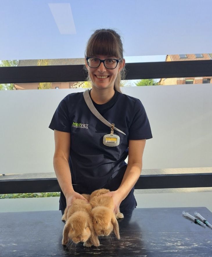 Dierenarts Gitte Geerts Dierenarts Gitte Geerts